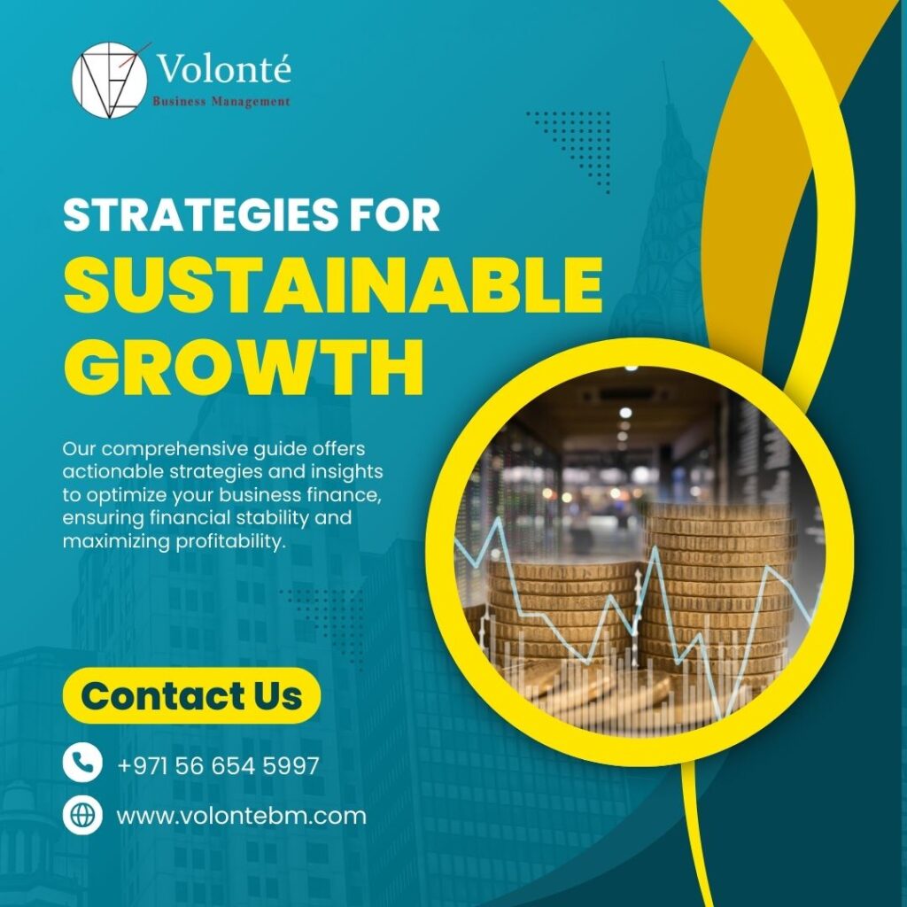 Sustainable Business Growth