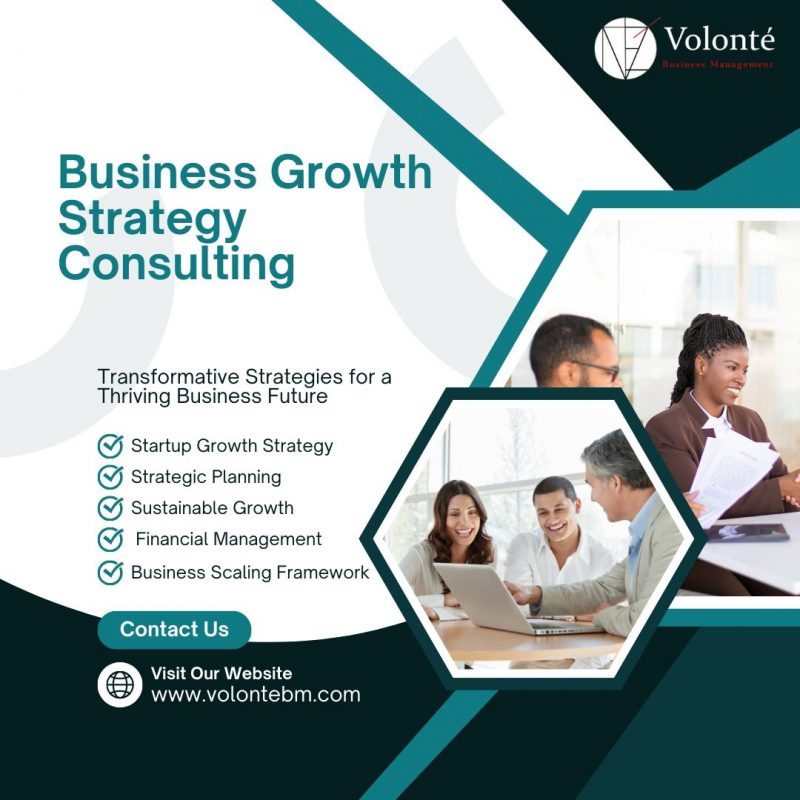 Growth Strategy Consulting